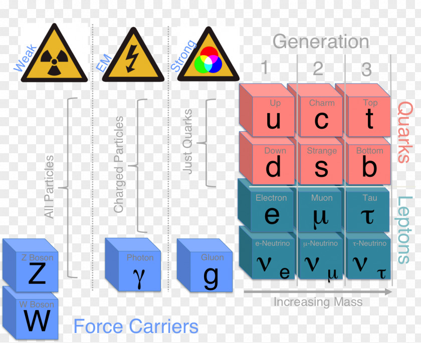Carrier Particle Physics Standard Model Higgs Boson Elementary PNG
