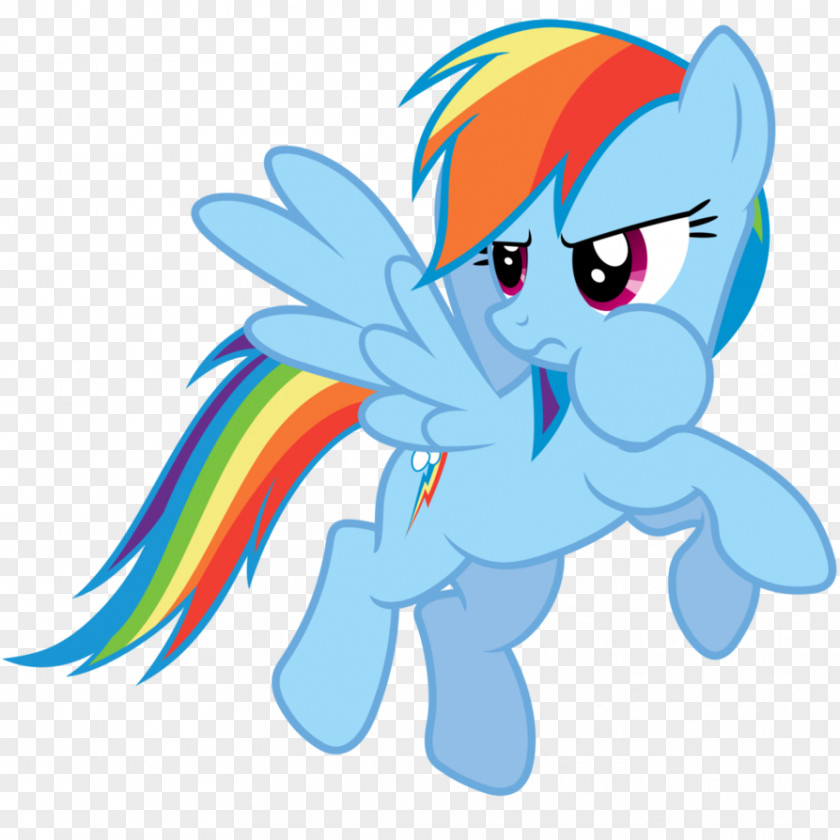 Dash Rainbow Pony PNG