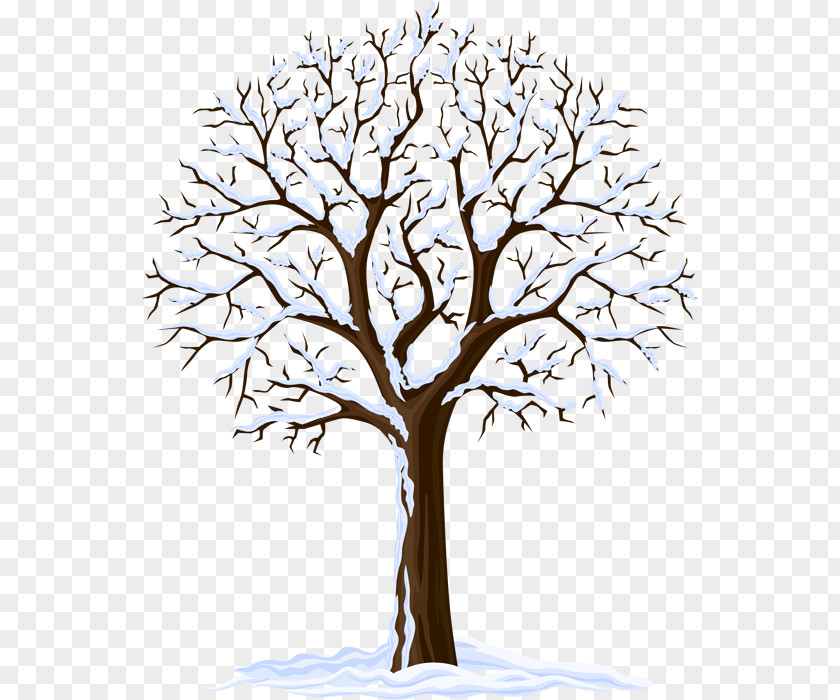 Drawing Trees Royalty-free Winter Photography PNG