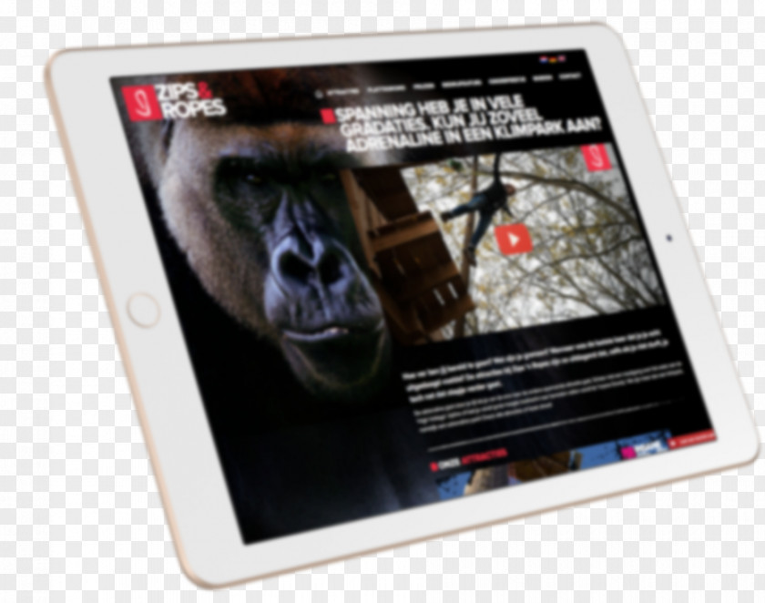 Gorilla Electronics Gadget Multimedia Poster PNG