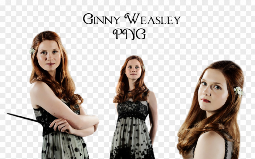 Harry Potter Ginny Weasley Kingsley Shacklebolt Family PNG