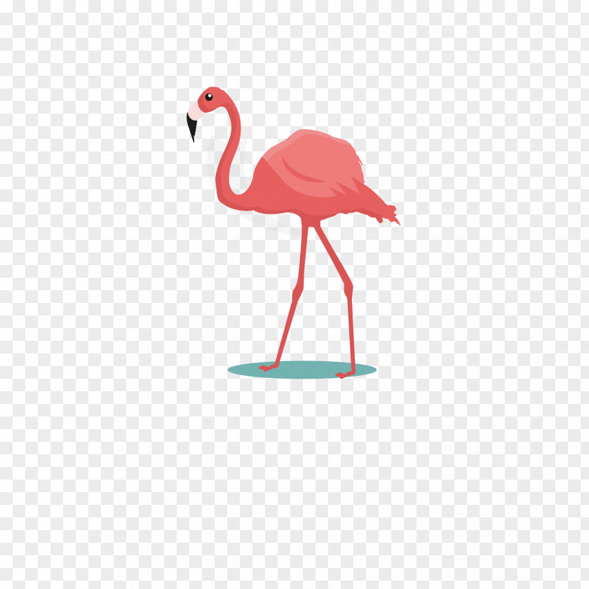 Ostrich Vector Flamingos Bird Common Parrot Cartoon PNG