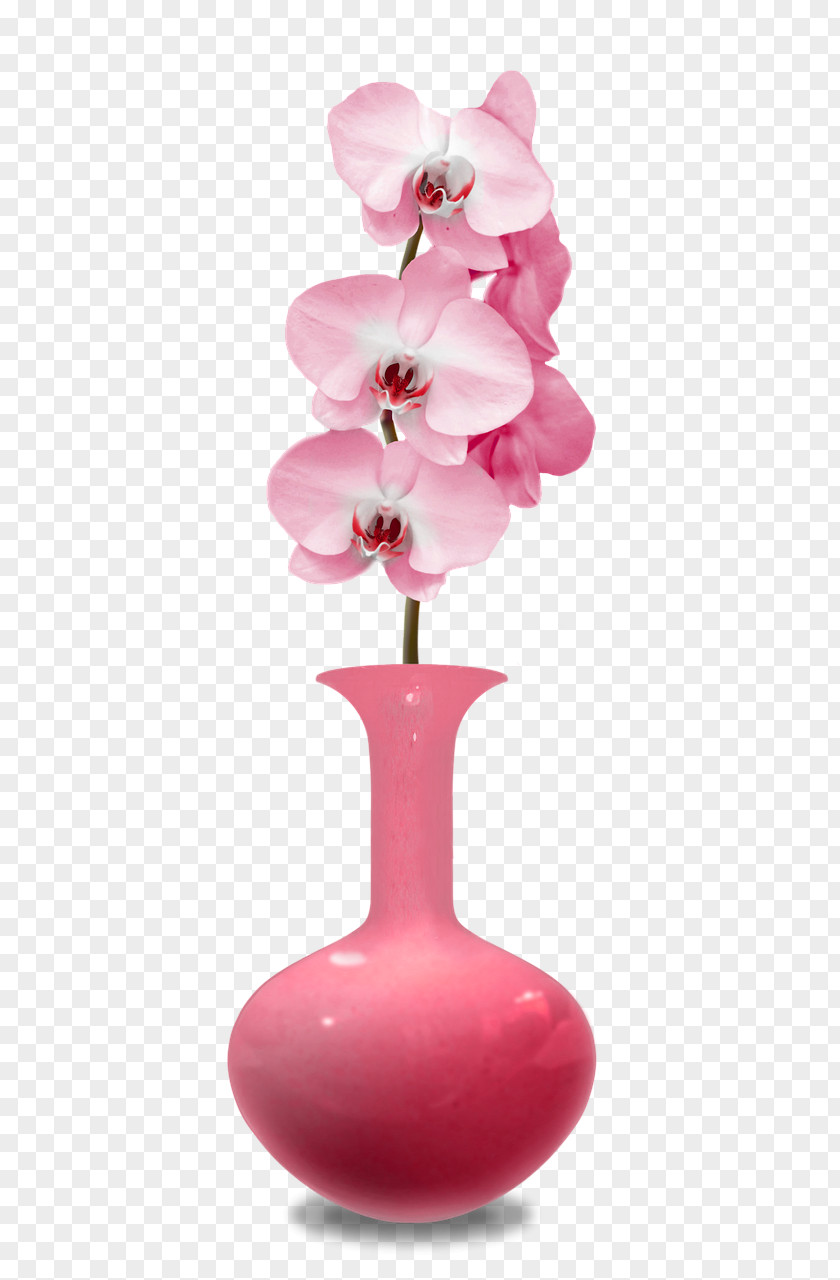Vase Image File Formats Rose PNG