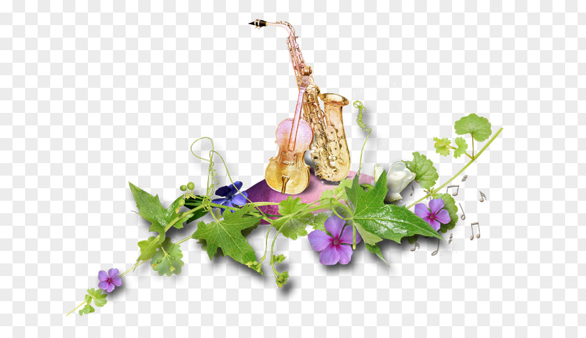 Cartoon Floral Background Material Musical Instrument Conservatoire De Paris Schola Cantorum Painter PNG