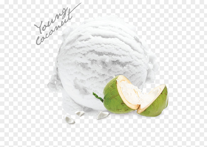 ต้นมะพร้าว Ice Cream Coconut Milk Flavor PNG