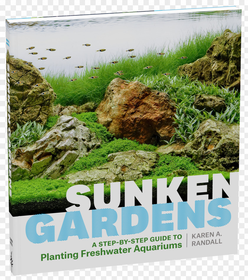 Sunken Gardens: A Step-By-Step Guide To Planting Freshwater Aquariums Encyclopedia Of Aquarium Plants Aquascaping PNG