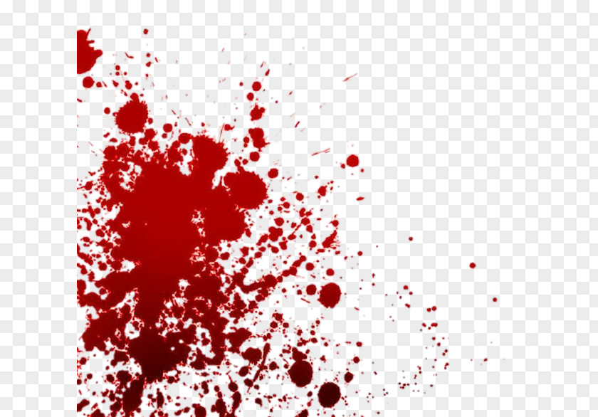Blood Splat Bloodstain Pattern Analysis Desktop Wallpaper PNG