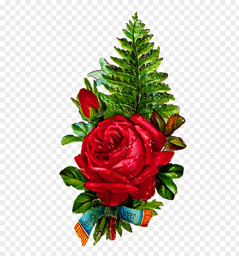 Fern Cut Flowers Garden Roses Flower Bouquet PNG