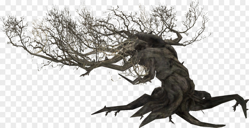 Plant The Elder Scrolls V: Skyrim Online Root Tamriel PNG