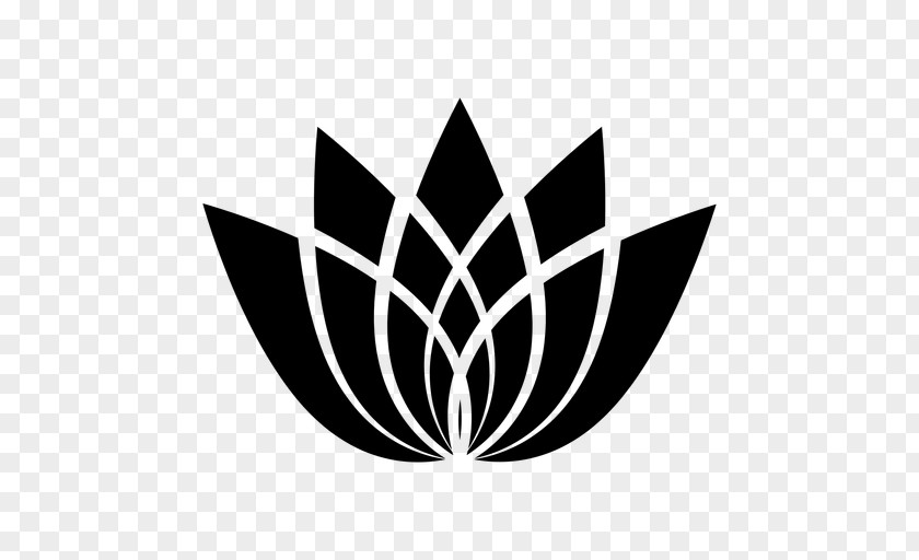 Symmetry Plant Leaf Symbol PNG