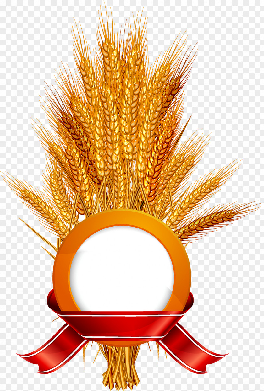 Wheat Label Ear Illustration PNG