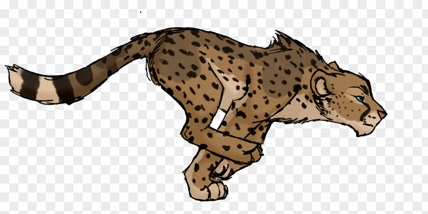Cheetah Felidae Lion Leopard Jaguar PNG