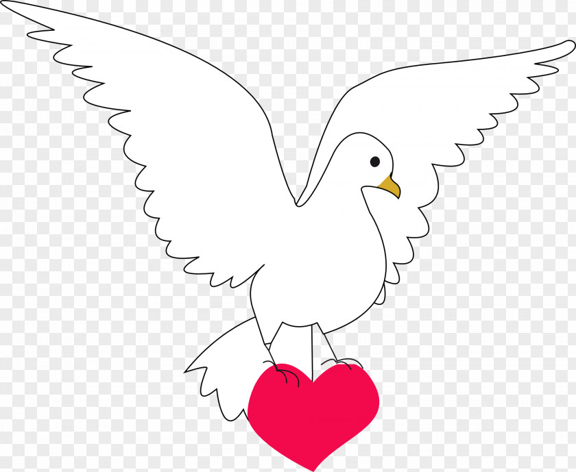 DOVE Columbidae Peace Doves As Symbols Clip Art PNG