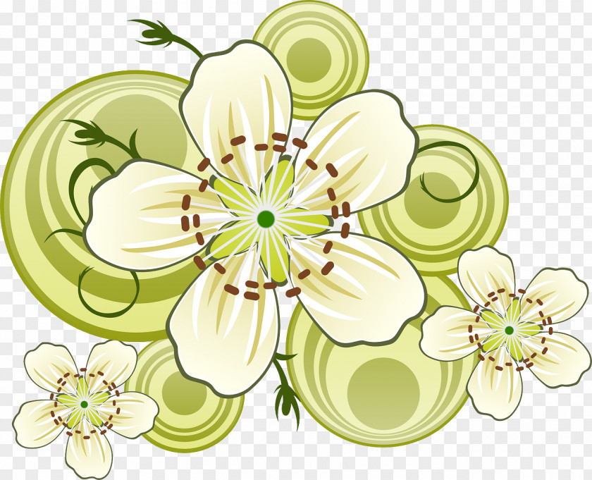 Flower Floral Design PNG