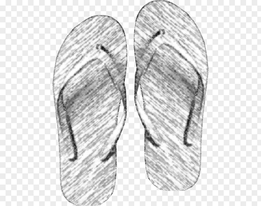 Flip-glare Vector Flip-flops Shoe Sketch PNG