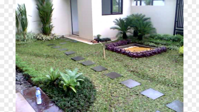 Kolam Landscaping Backyard Walkway Property Patio PNG
