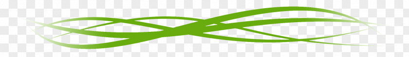 Leaf Logo Font Desktop Wallpaper Plant Stem PNG