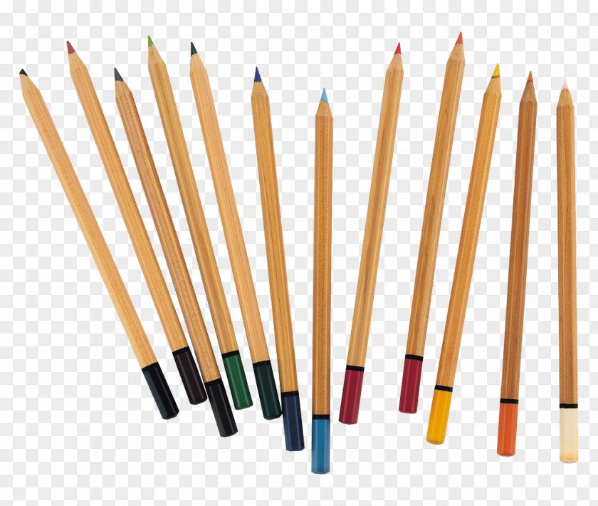 Student Pencils Colored Pencil Clip Art PNG