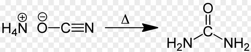 Synthesis Isoleucine Enantiomer Chirality Amino Acid PNG