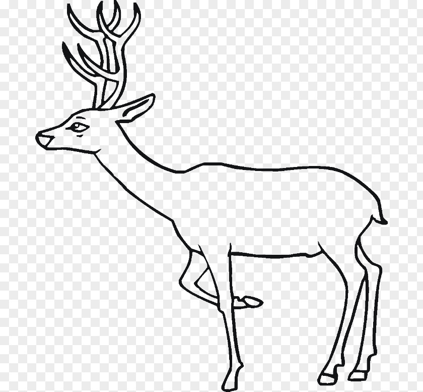 Train Drawings For Kids Elk Deer Coloring Book Clip Art PNG