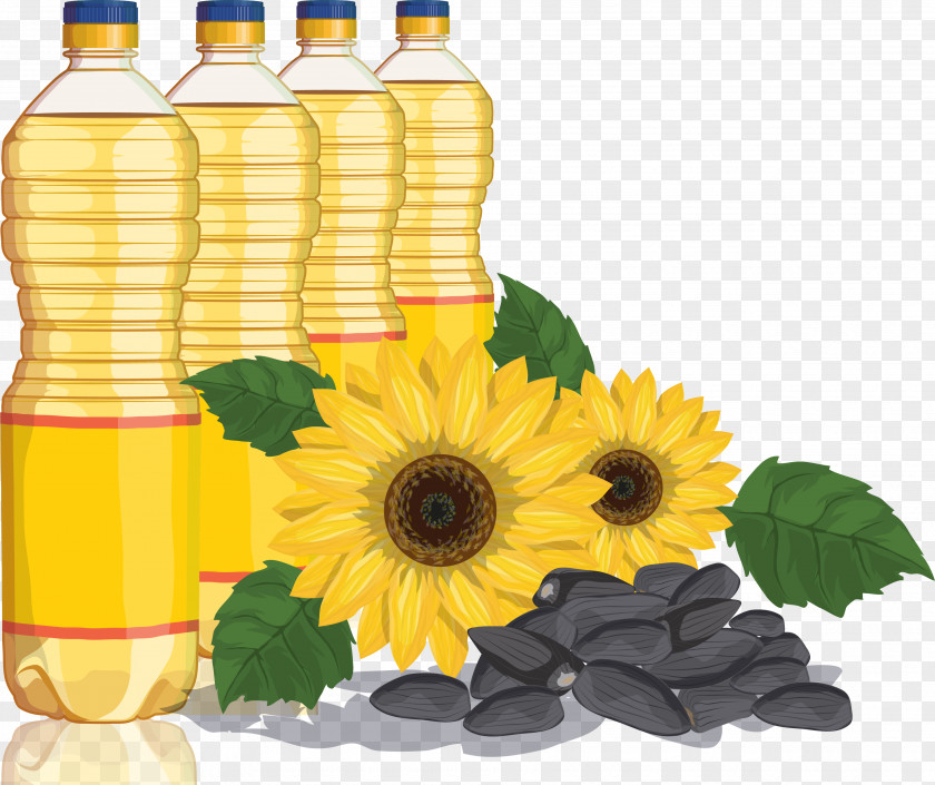 Vector Sunflower Oil Common Cooking Vegetable PNG