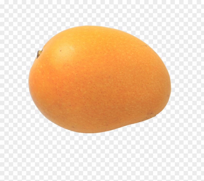 A Little Mango Grapefruit Clementine Orange PNG