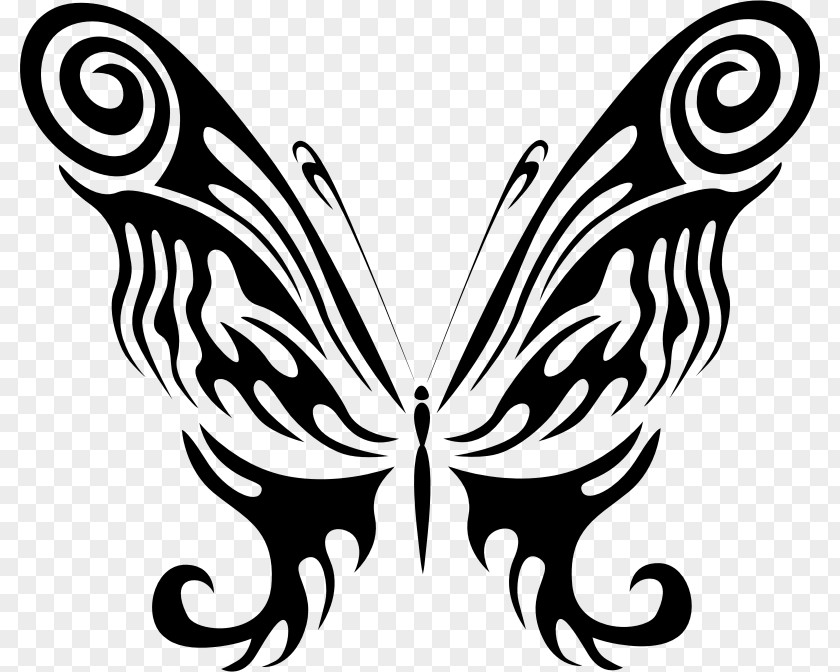 Butterfly Monarch Clip Art PNG