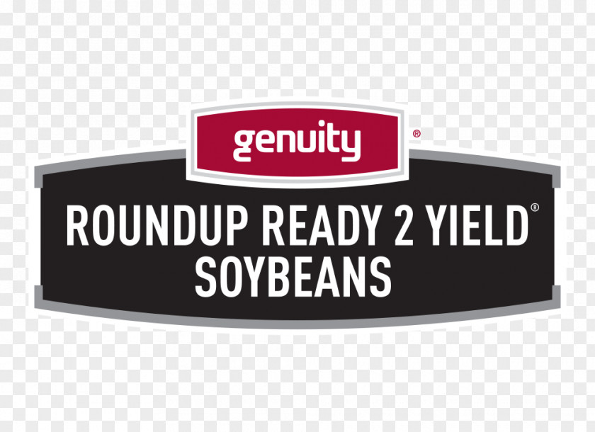Genetically Modified Soybean Crop Yield Roundup Ready High-yielding Variety PNG