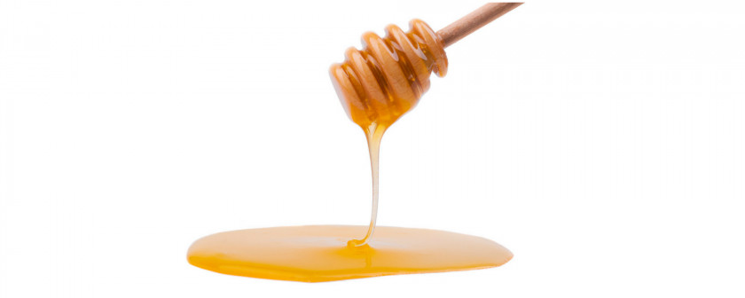 Honey Herbalism Ingredient Lord O Burro Apicultor PNG