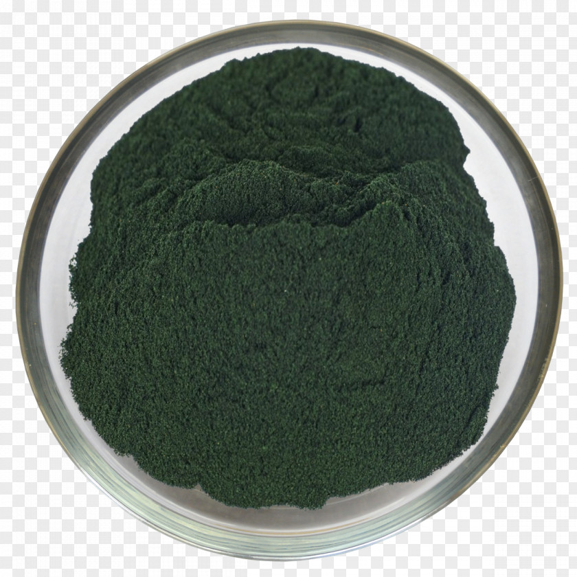 Seaweed Food Powder Flour Algae PNG