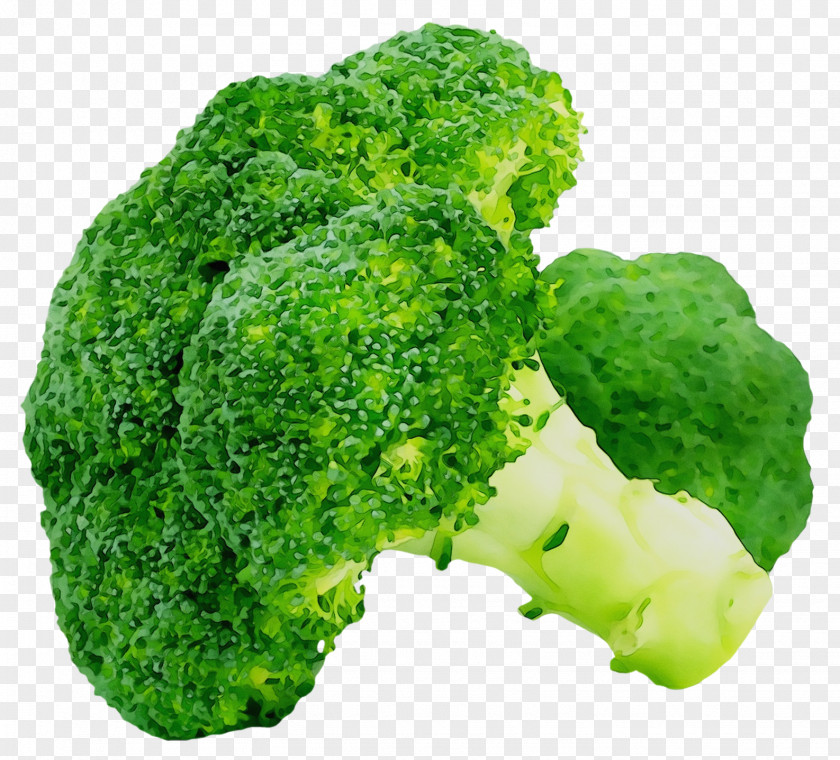 Broccoli Cauliflower Greens Vegetable Cabbage PNG
