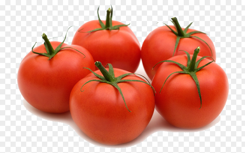Five Tomatoes Plum Tomato Bush Pizza Fruit PNG