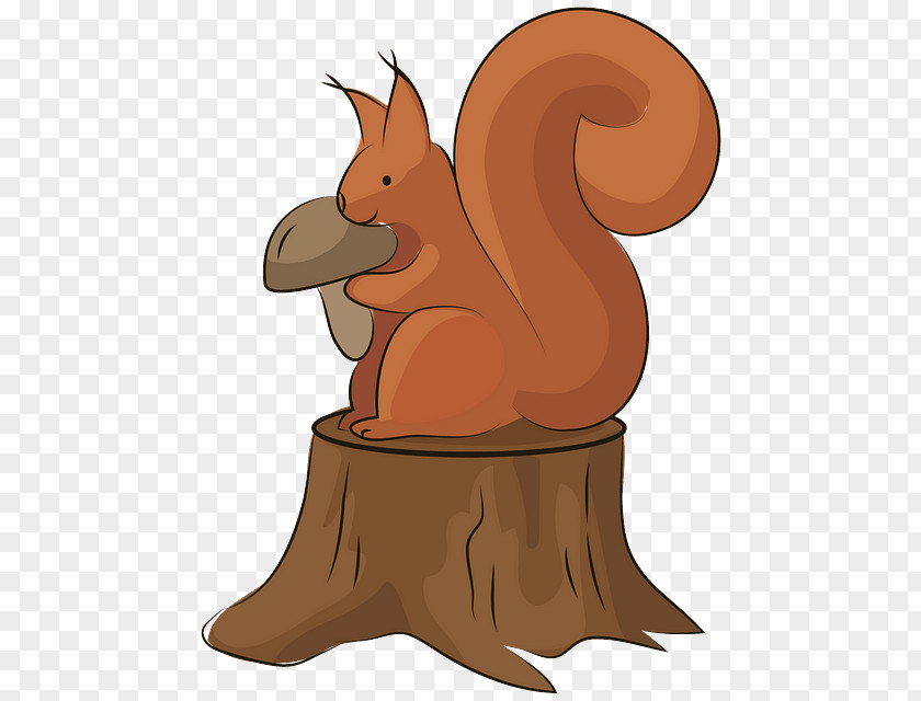 Squirrel Cartoon Eurasian Red Drawing Animation PNG