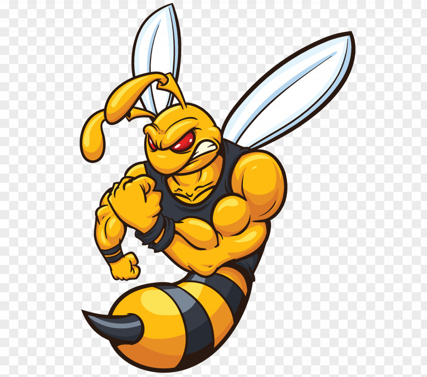 Bee Hornet Yellowjacket Stock Photography Royalty-free PNG