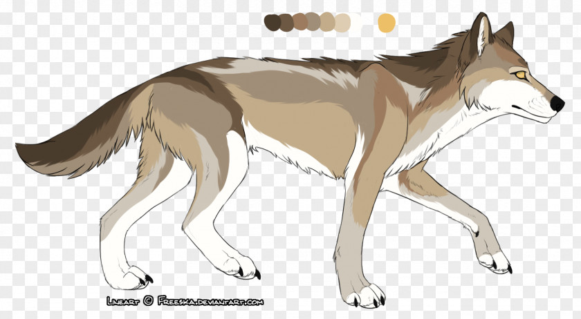 Brown Wolf Saarloos Wolfdog Czechoslovakian Dingo Red Fox Coyote PNG