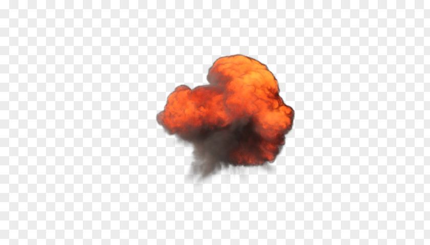 Explosion Explosive Material Organism PNG