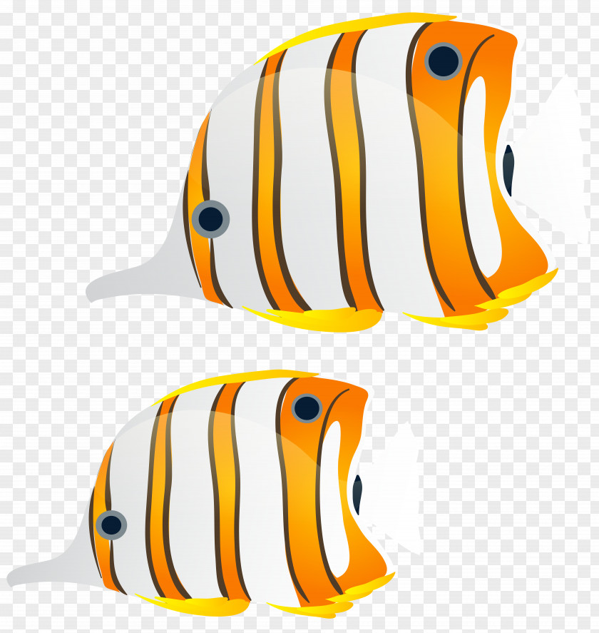 Fishes Clip Art Image Angelfish PNG
