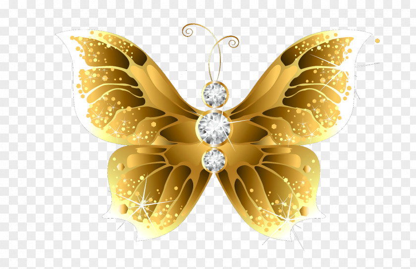 Gold Flower Butterfly Net Insect Clip Art PNG