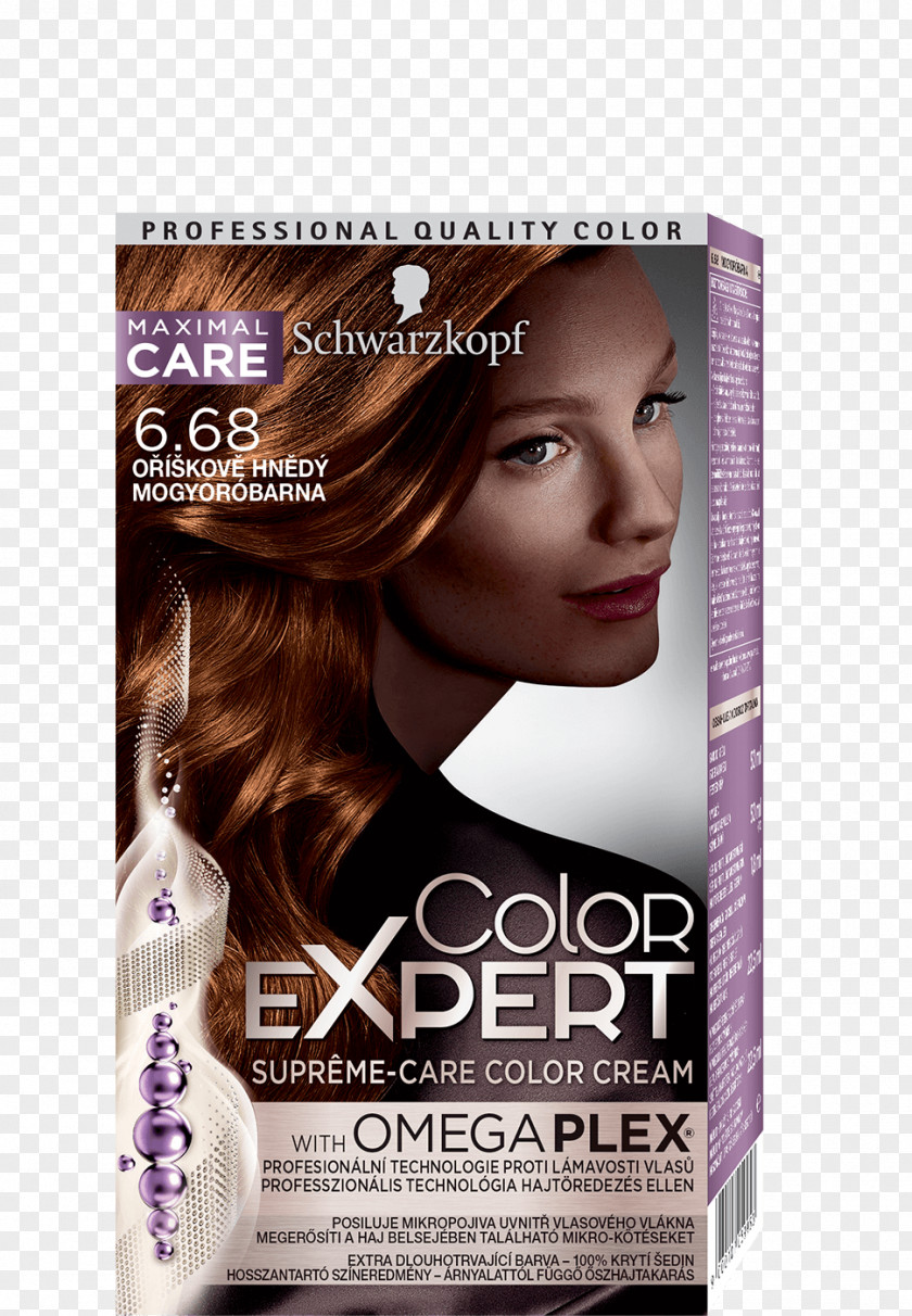 Hair Schwarzkopf Coloring Human Color PNG