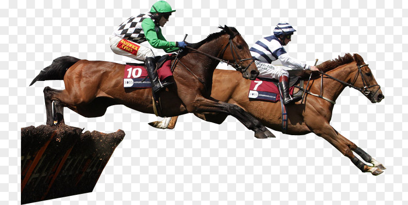 Horse Racing Jockey Sports Betting PNG
