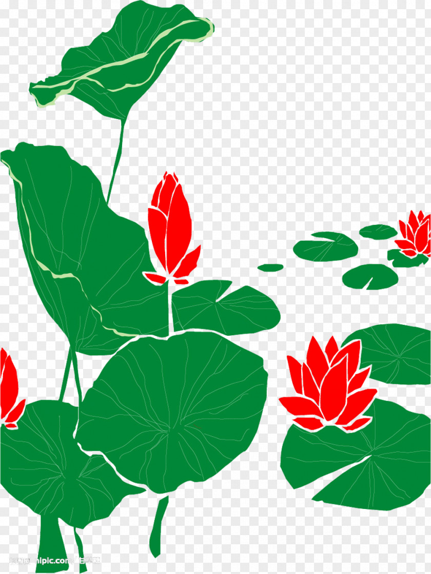 Cartoon Red Lotus Picture Material Drawing Nelumbo Nucifera Clip Art PNG
