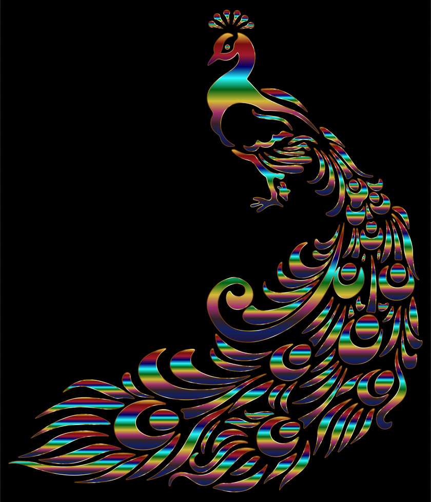 Peacock Peafowl Desktop Wallpaper Clip Art PNG