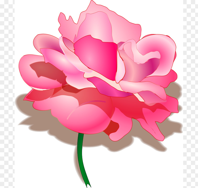 Rosa Flower Cliparts Raksha Bandhan Hindi Happiness SMS Wish PNG