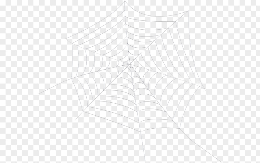 Spider Silk Clip Art Digital Image PNG