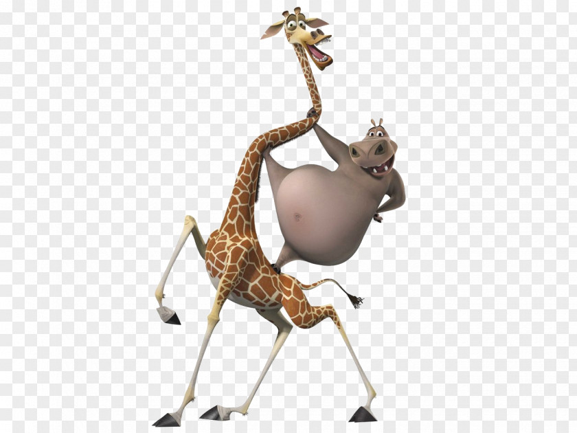 Animation Gloria Melman Madagascar PNG