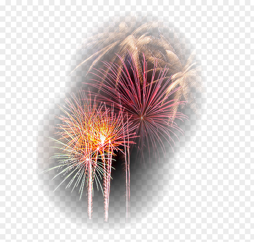 Fireworks Explosive Material Desktop Wallpaper Close-up Dandelion PNG