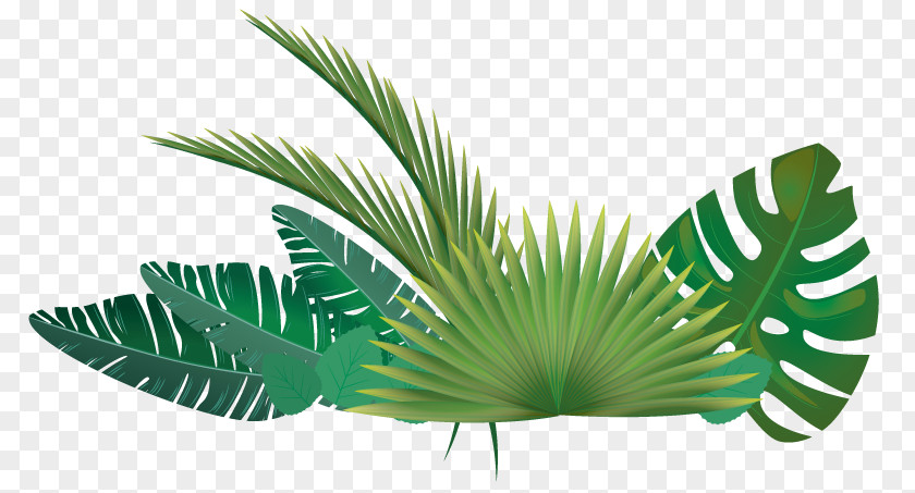 Happy Summer Tropical Palm Trees Clip Art Leaf Vector Graphics PNG