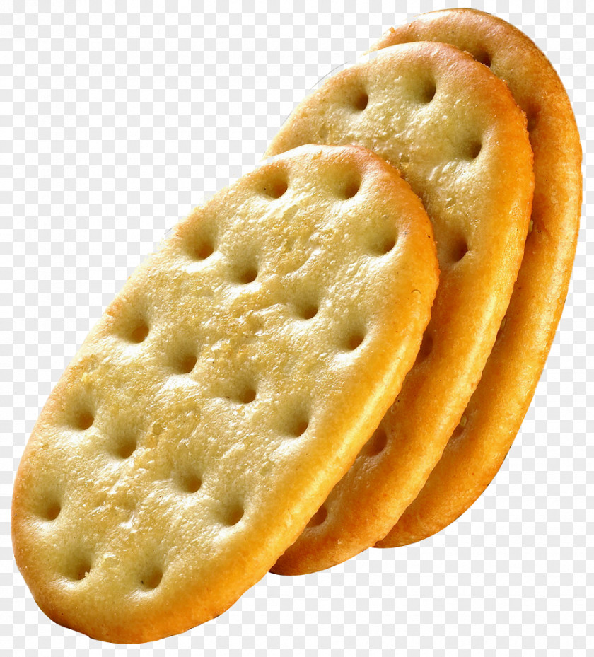 Oval Biscuit Cookie Saltine Cracker PNG