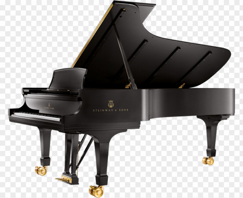 Piano Steinway & Sons D-274 Grand Key PNG