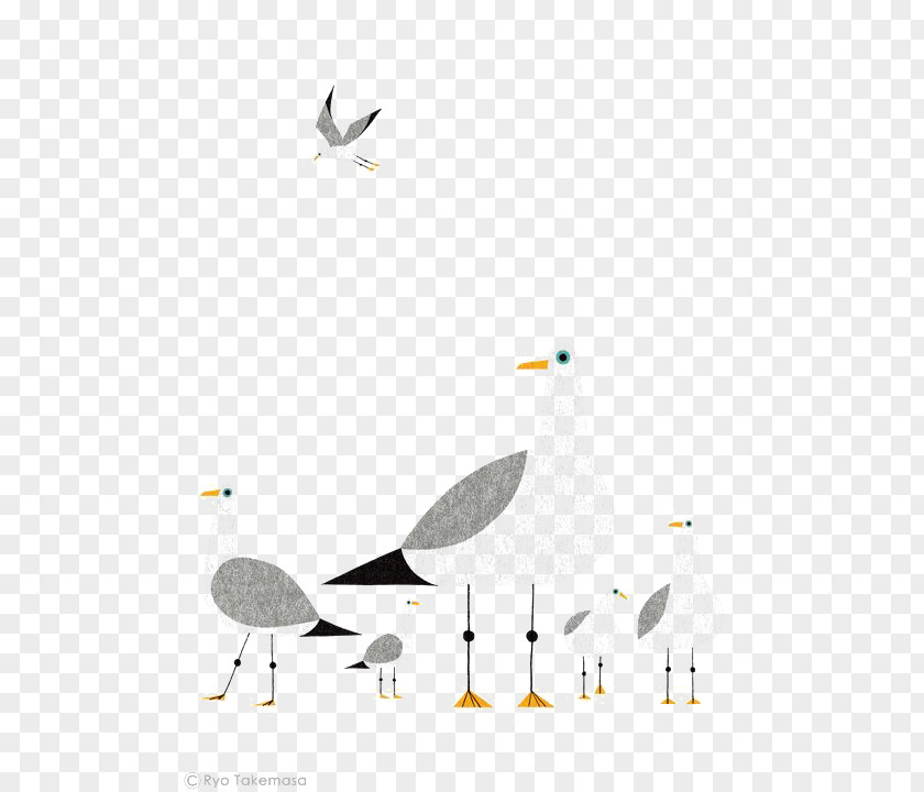 Pigeon Flat Drawing Bird Illustrator Illustration PNG